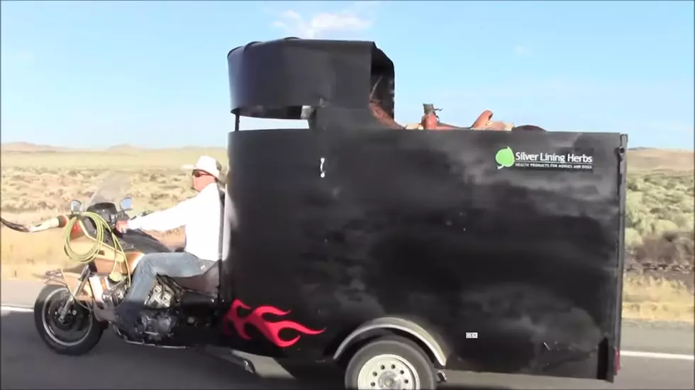Check Out This New Horse Trailer That Attaches To Your Motorcycle