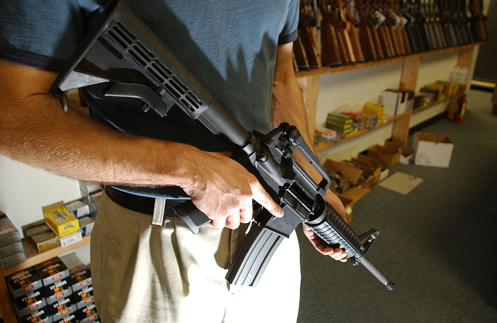 No New Gun Control Regulations Expected
