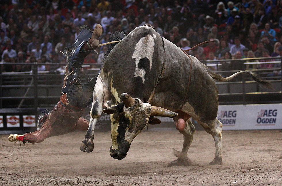 Central Wyoming Rodeo-Daily Sports Update