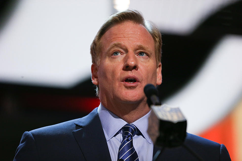 Goodell Has Considered Role Change in League’s Discipline Process