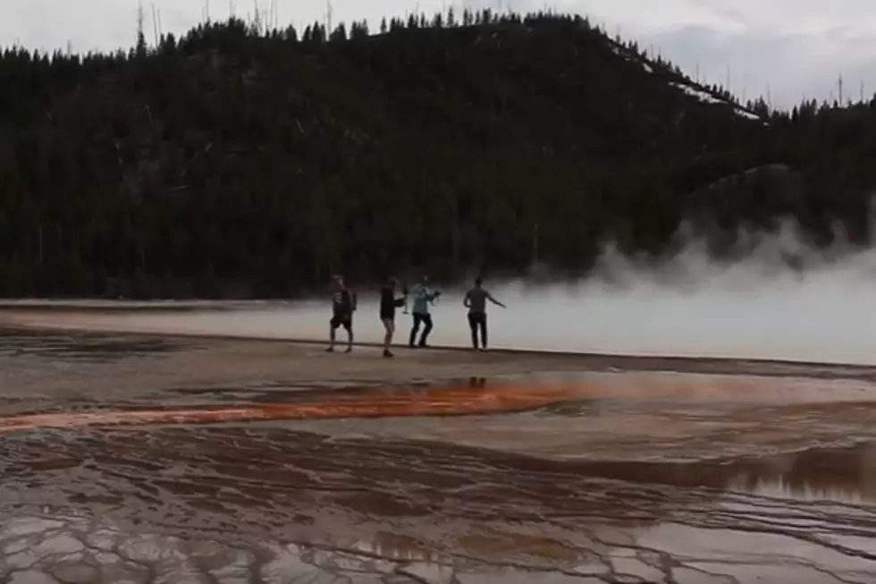 Adventure Tourists Go Off Boardwalk At Yellowstone National Park, Internet Responds [PHOTOS, VIDEO]