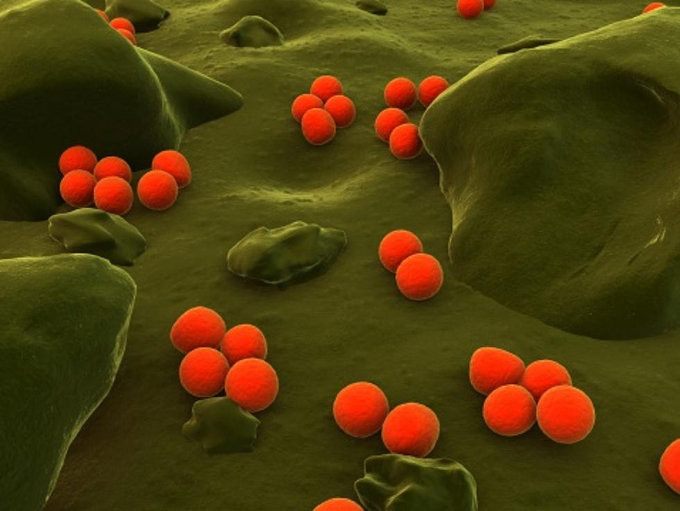 Antibiotic-Resistant Gonorrhea On the Rise, CDC Warns