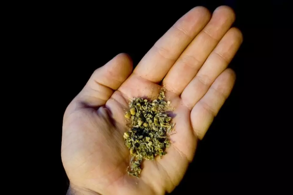 UN Officials Call For Marijuana Ballot Rollback
