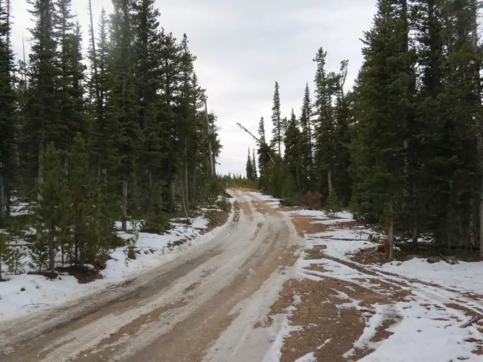 Officials Remind: Off-road Driving Prohibited in Medicine Bow