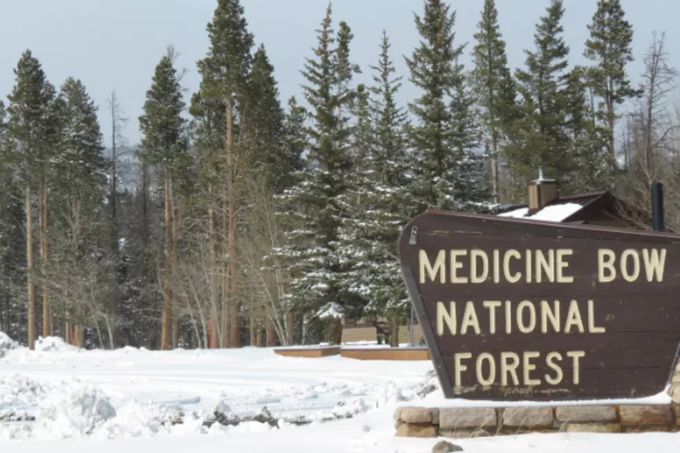 How Medicine Bow National Forest Got Its Name