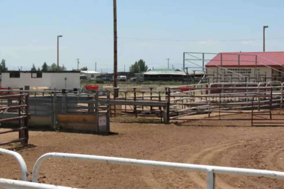 Local Rodeo Update - Fall Is Off To A Good Start
