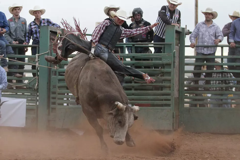 Jubilee Days Pro Rodeo Begins With Mr. T Xtreme Bull Riding
