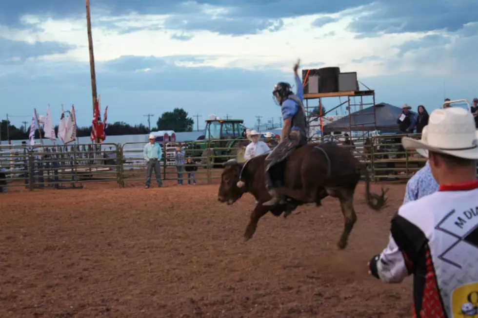 Young Cowgirl and Cowboys Win Buckles at LJD Jr. Bull Riding