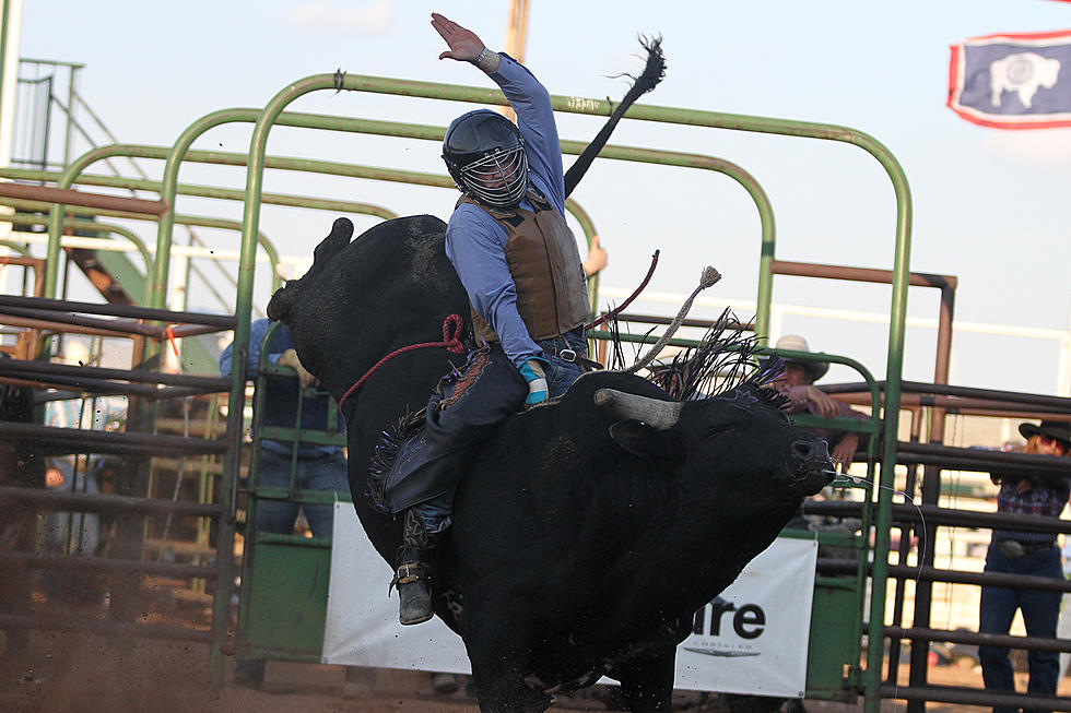 Mr. T Xtreme Bulls Thrill Laramie Jubilee Days  [PHOTOS, VIDEOS]