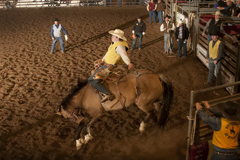 Early Success for Wyoming Rodeo Under New Coach [AUDIO]