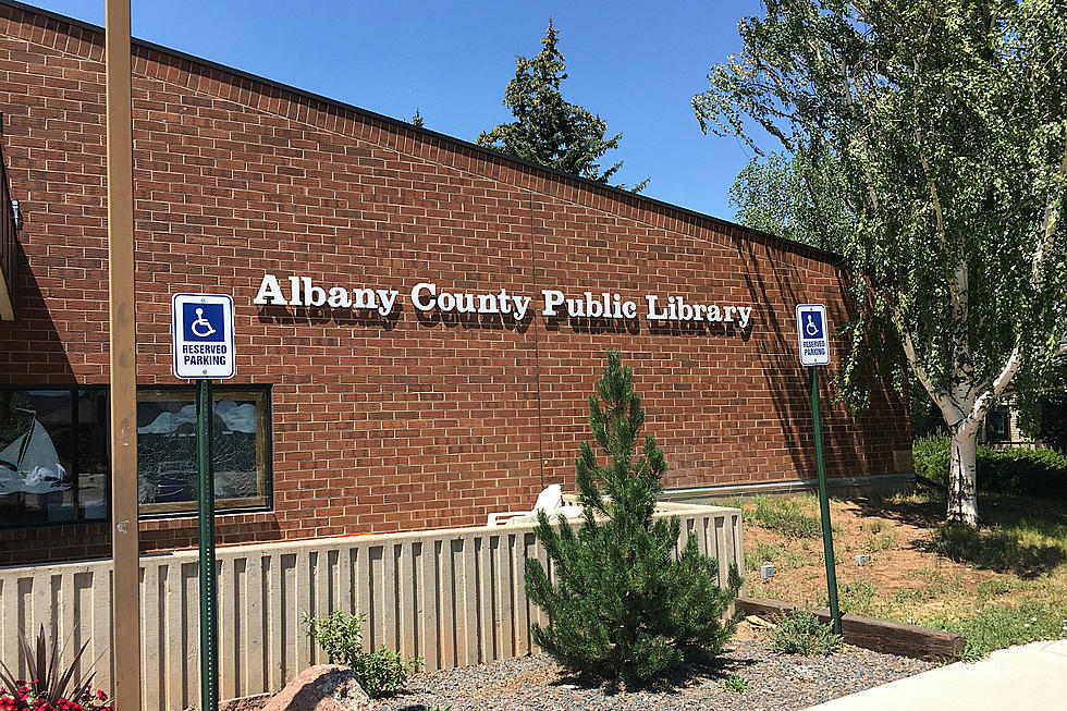 Albany County Public Library Director Fired