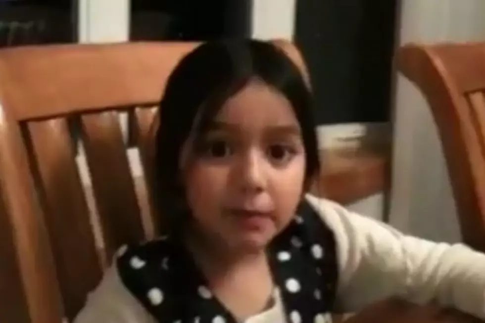 Little Girl Hilariously Explains Where Babies Come From [Video]