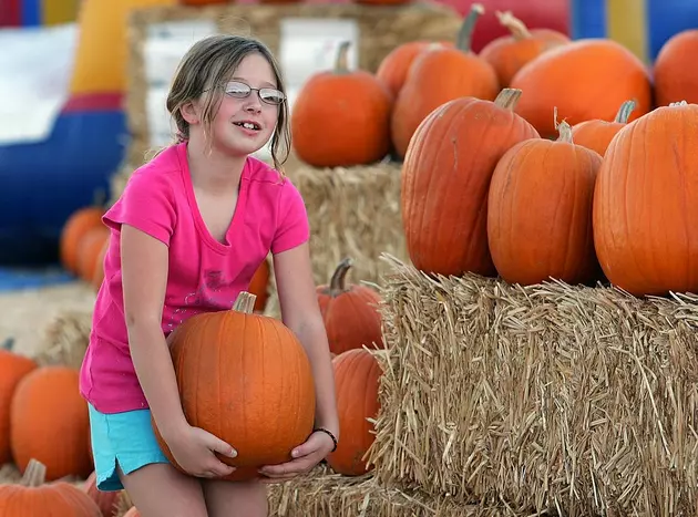 Best Places In Wyoming For Pumpkin Picking