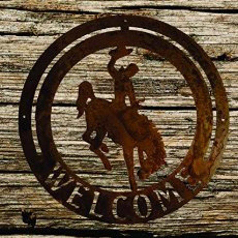 A Wyoming Company Created These Bucking Great Signs