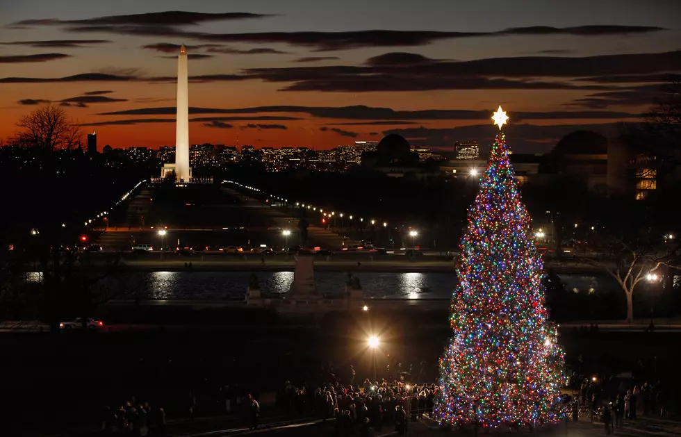 U.S. Capitol Christmas Tree Stopping In Laramie On Its Way To D.C.