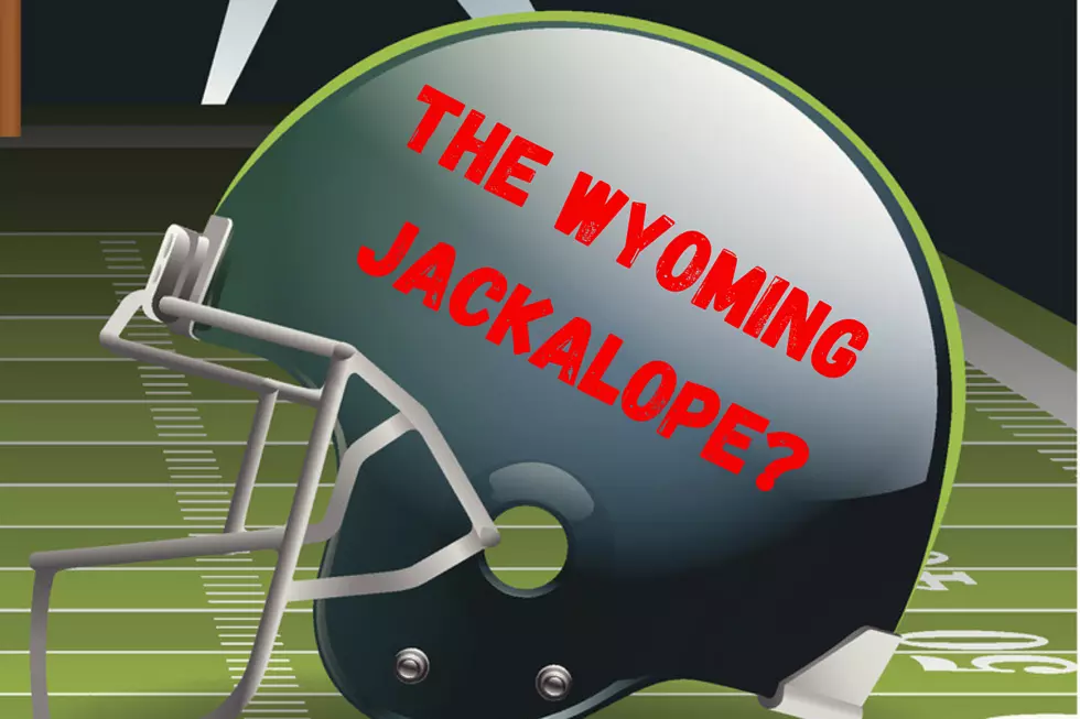 What Would Wyoming&#8217;s NFL Team Name Be?