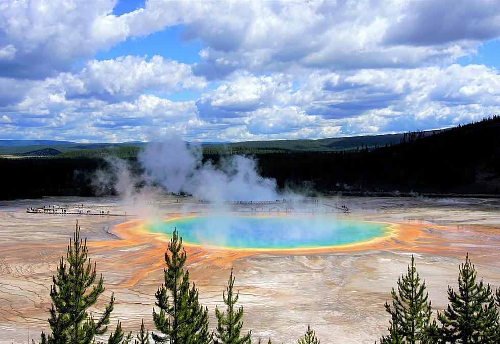 Yellowstone National Park Pass Only Works If You Can Time Travel