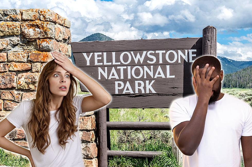 10+ Dumb Yellowstone Tourist Moments Caught on Camera