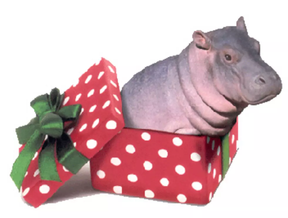 KyssMas Helps Kids Get What They Want For Christmas – Even a Hippo
