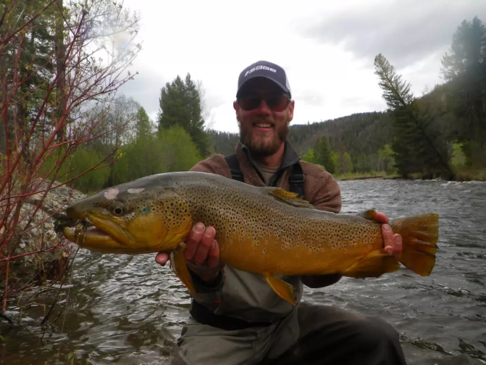 Montana Fishing Report for Memorial Day Weekend [AUDIO]