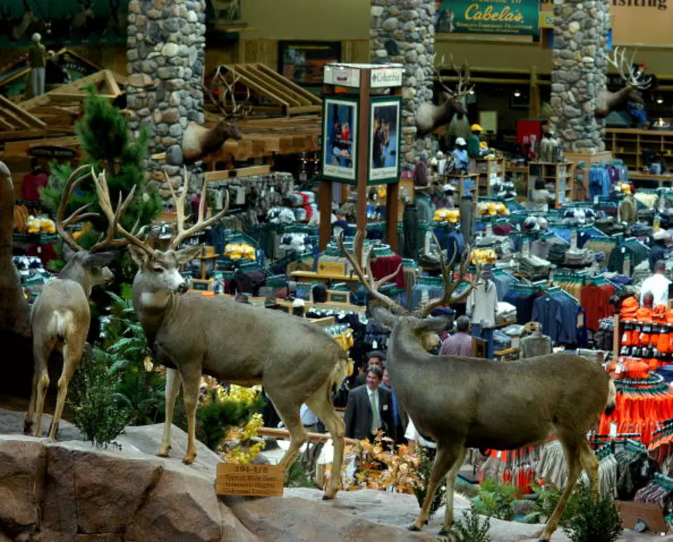Veteran&#8217;s Day Weekend Events at Cabela&#8217;s
