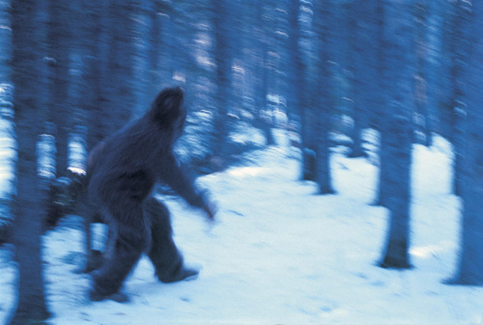 Find Bigfoot and Get Paid Millions