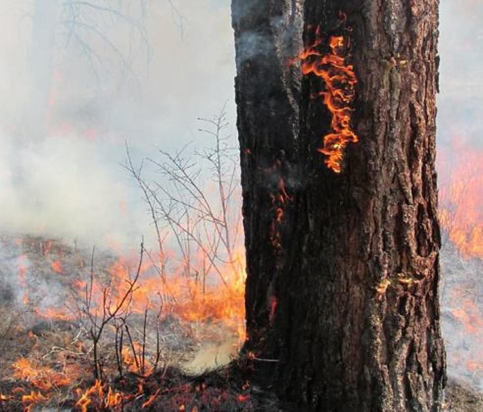 Wildfire Season has Begun – Small Fire Near Lolo