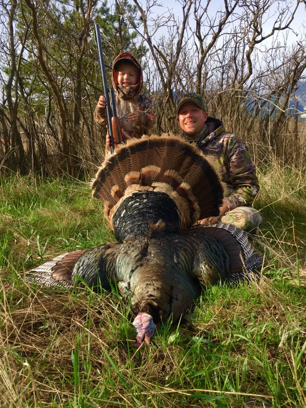 I Bagged Me a Thunderbird &#8211; Montana Spring Turkey Hunting