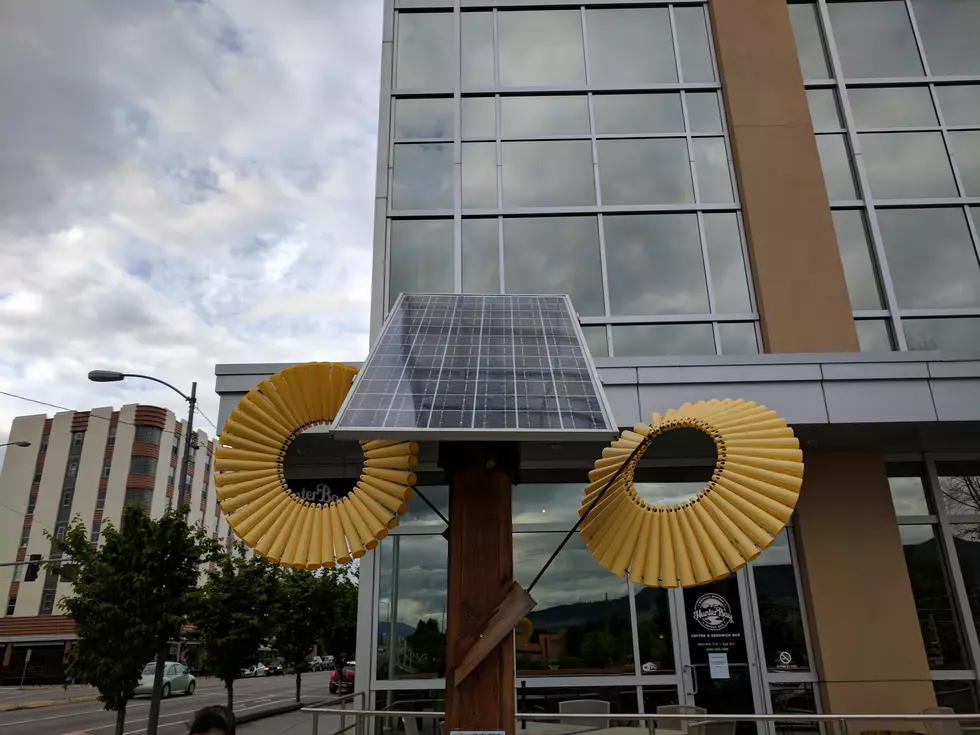 Do You Know About this Awesome Downtown Missoula Feature?