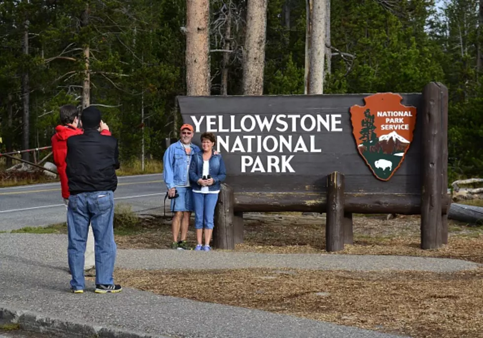 Hilarious Video of Locals Trolling Tourists in Yellowstone Park