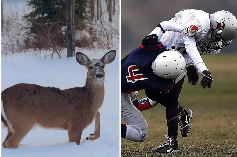 Deer May Soon Be Signed as a Griz Football Linebacker