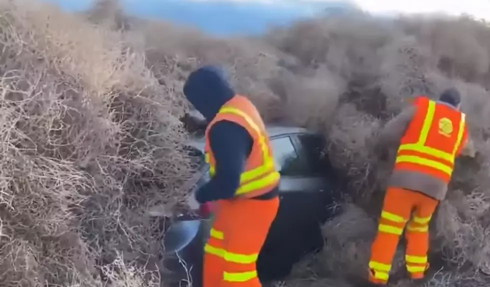 Drivers Gets Buried in Tumbleweed Avalanche