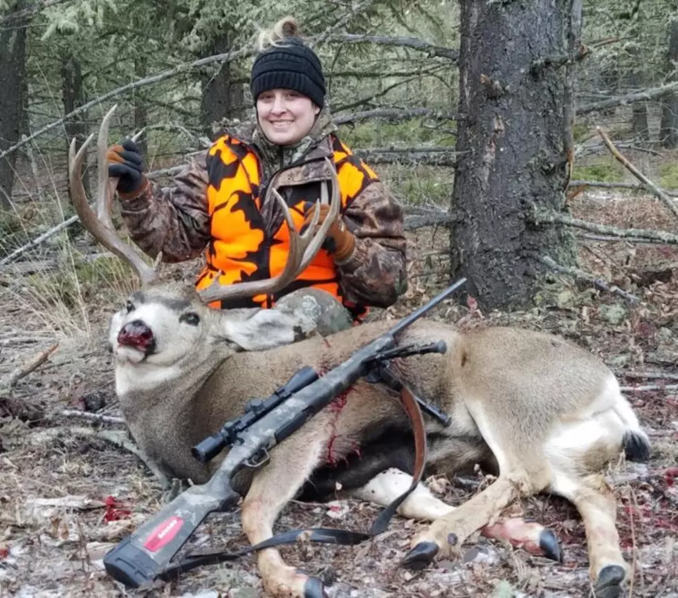 Dandy Montana Mule Deer for New Huntress