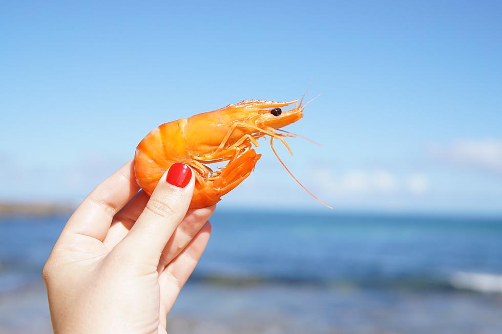Celebrate National Shrimp Day with Shrimp Raised in Montana