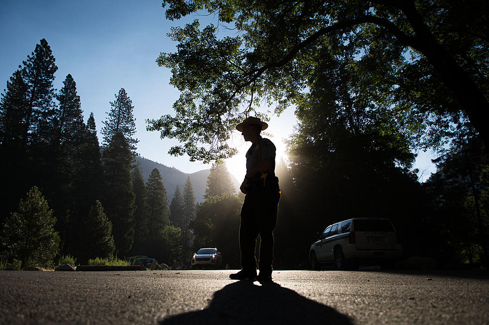 Think Your Job is Hard? Try Being a Yellowstone Park Ranger