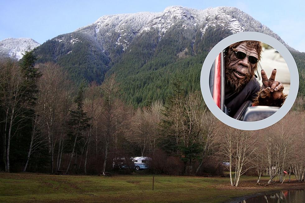 Montana, Have You Ever Spotted an Elusive ‘Ass-Squatch?’