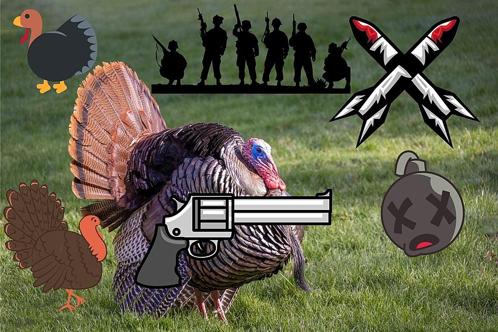 INSANE Montana Wild Turkeys are Declaring War on People?