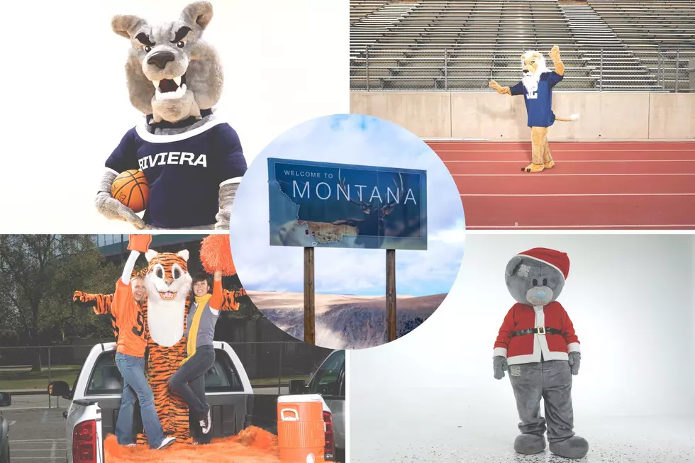 What If Montana Towns Had Their Own Honest Mascots?