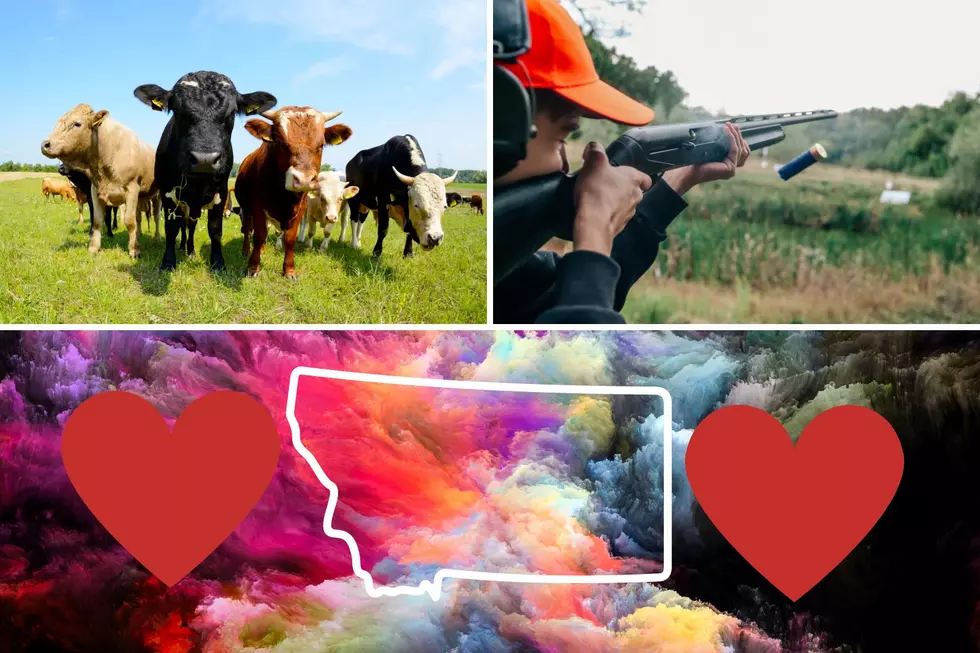 From Cows to Guns: Check Out These Perfect Montana Valentines