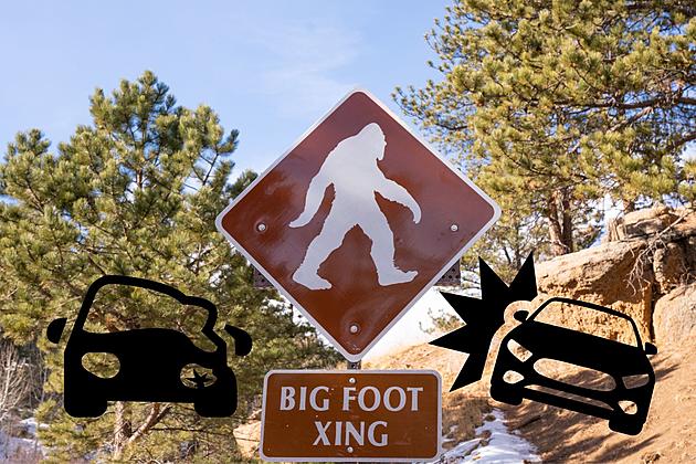 Insurance Claim? Idaho Woman Blames Deer Collision on Bigfoot