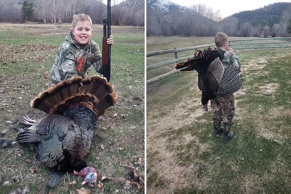 Tag Team Turkeys Thanks to Montana’s Hunter Apprentice Program