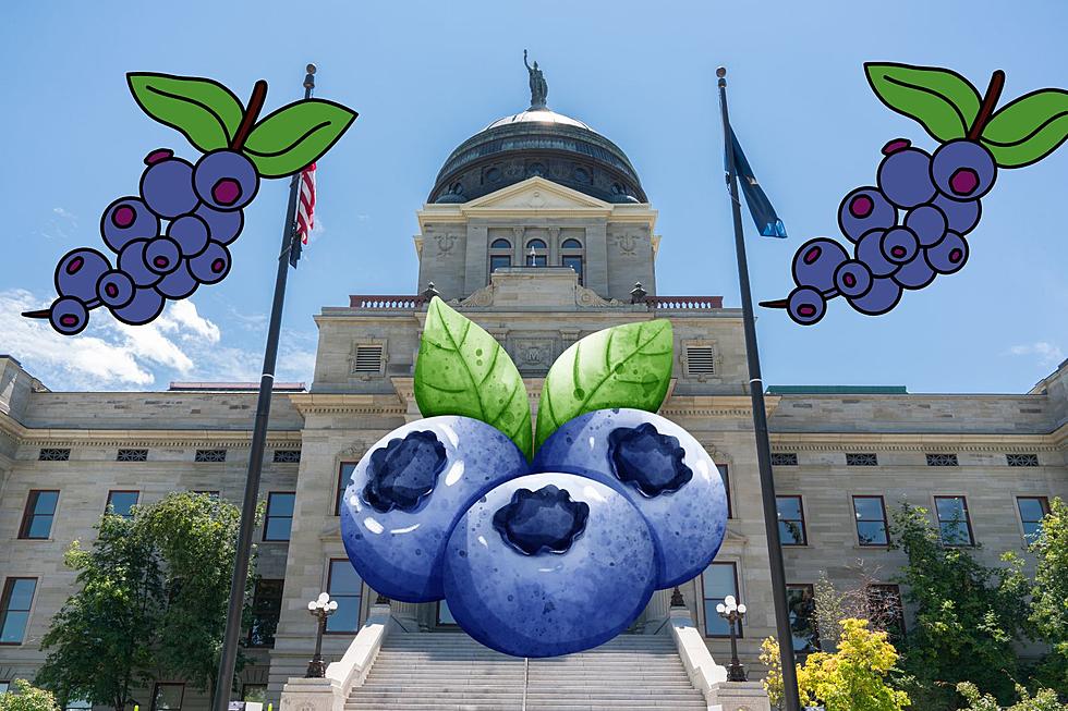 New State Fruit: If You Have To Guess, Are You Even From Montana?