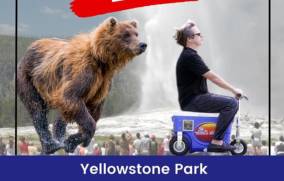 Wanna Race? ‘Motorized Cooler Bear Run’ in Yellowstone Park?