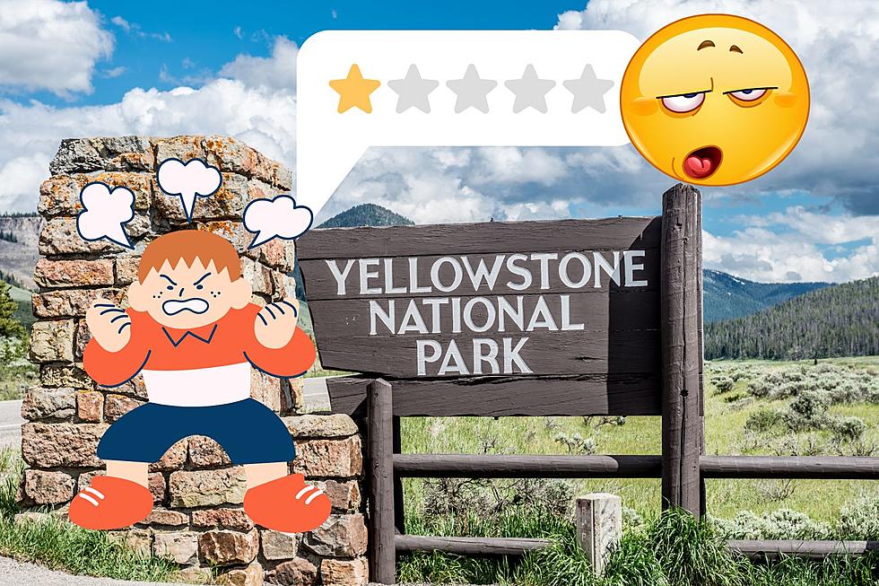 Not a Happy Camper: Funny One Star Reviews of Yellowstone Park