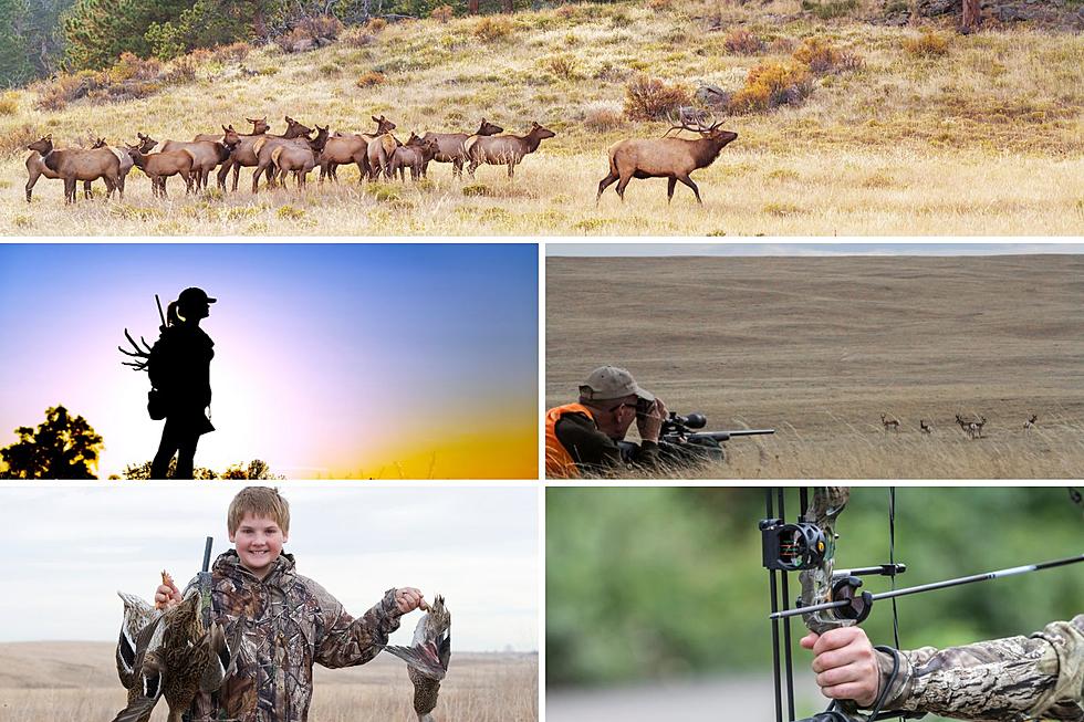 Here are Important Dates for Montana Hunting Seasons 2023