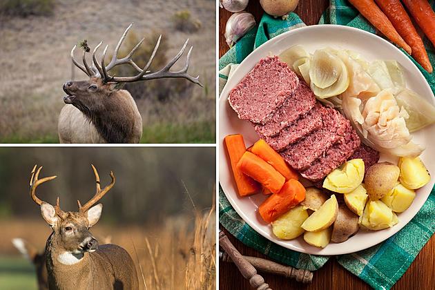 Montana Hunters: Transform Wild Game into St. Pat&#8217;s Corned Beef