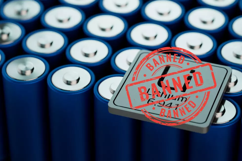 Massachusetts Officially Bans Batteries. Could Montana Be Next?