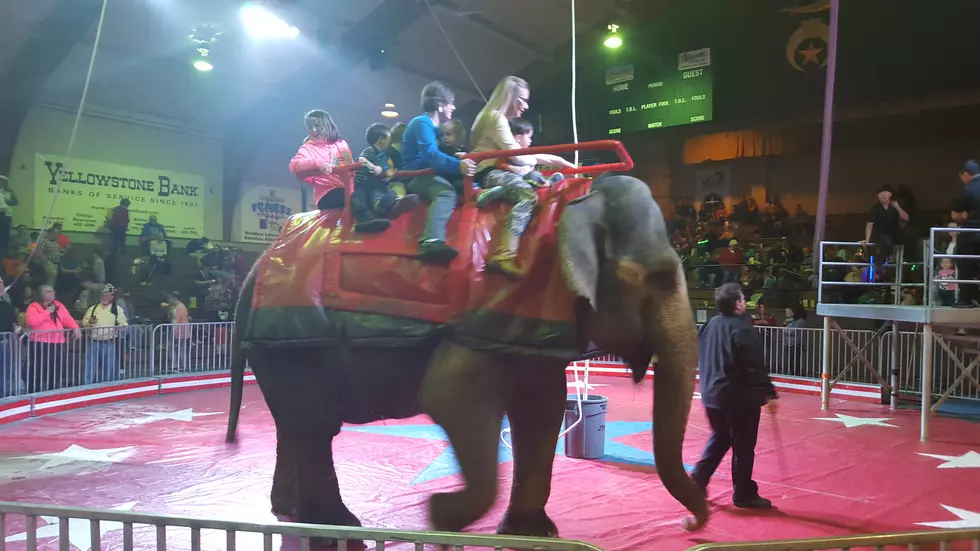 Shrine Circus in Billings Brings Out the Kid in All of Us [Video]
