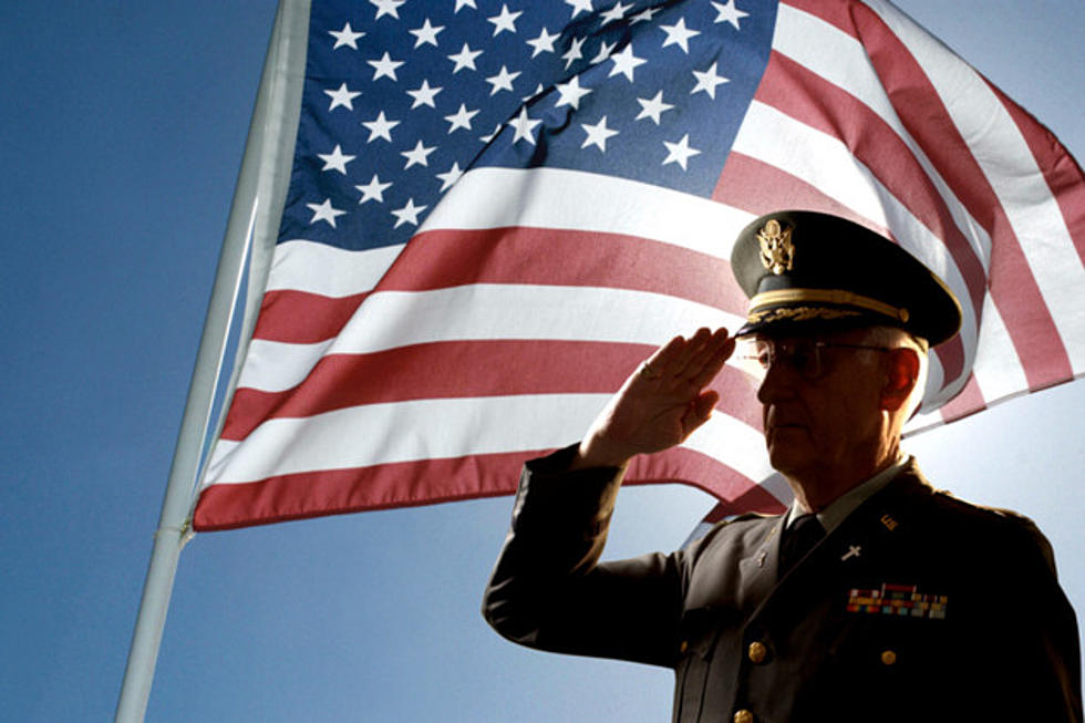 A Veterans Day Salute
