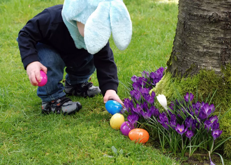 Easter Egg Hunts in Billings